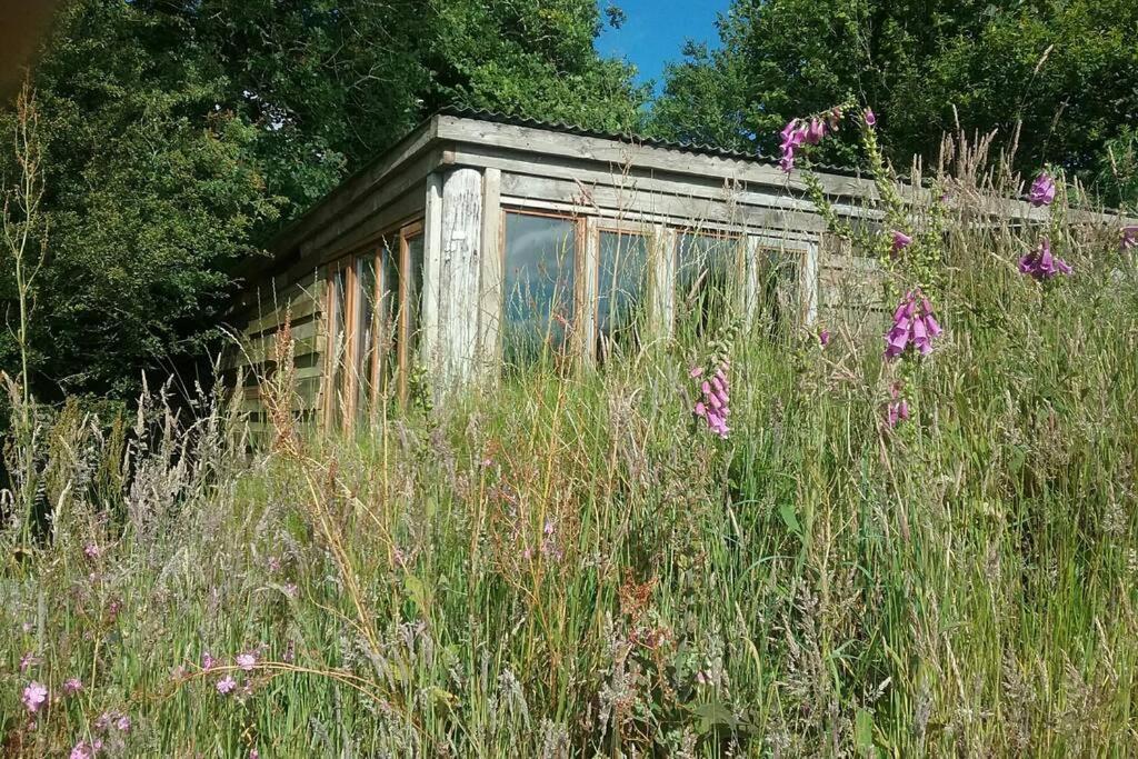 Foxesden, Unique Eco Cabin, Dartmoor Views South Brent Bagian luar foto