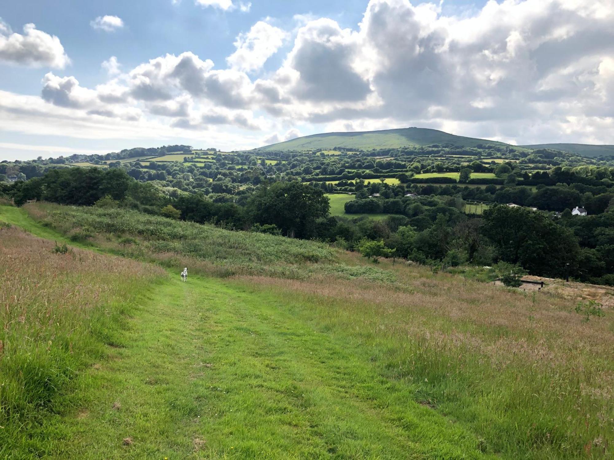 Foxesden, Unique Eco Cabin, Dartmoor Views South Brent Bagian luar foto