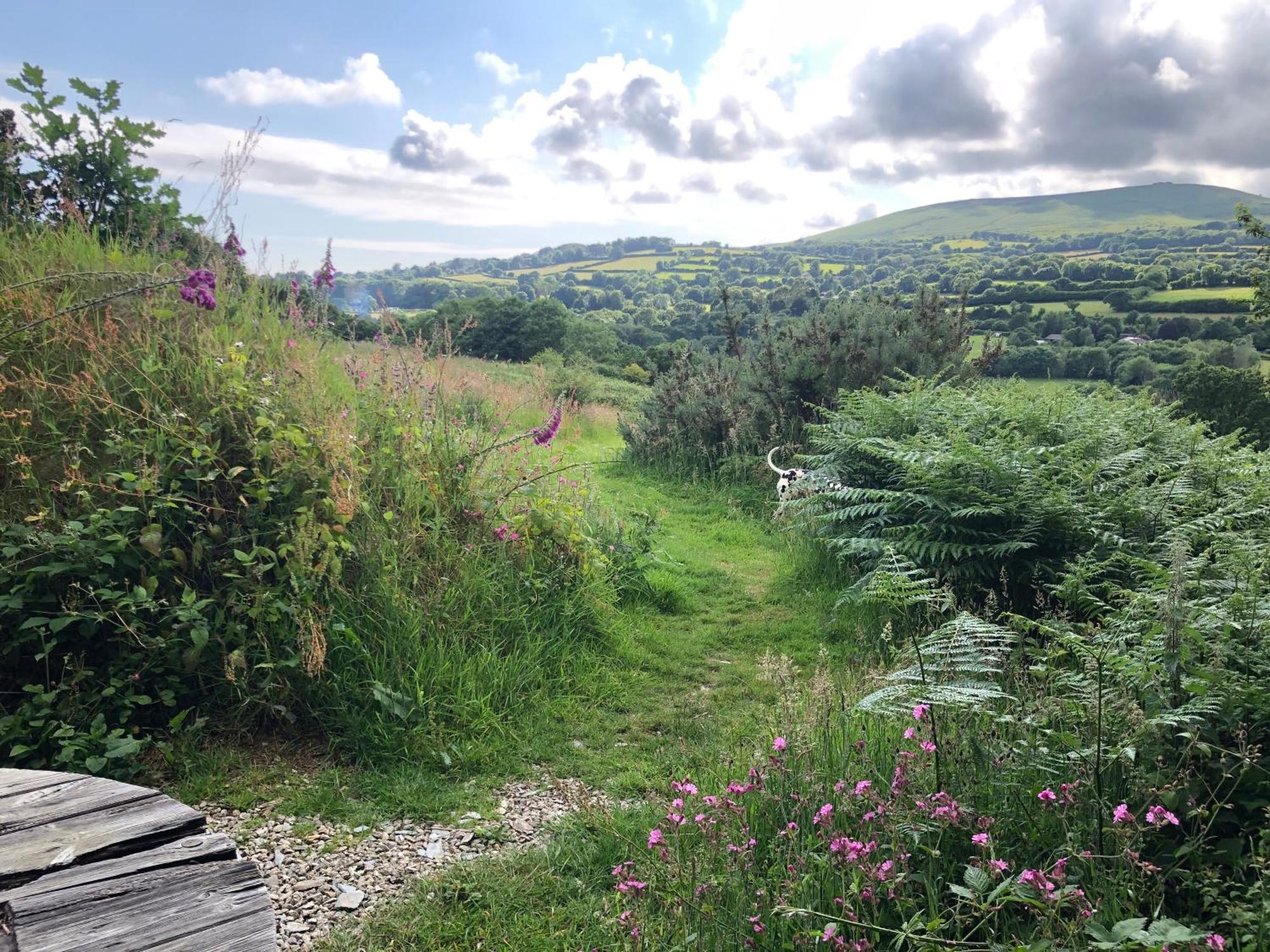 Foxesden, Unique Eco Cabin, Dartmoor Views South Brent Bagian luar foto